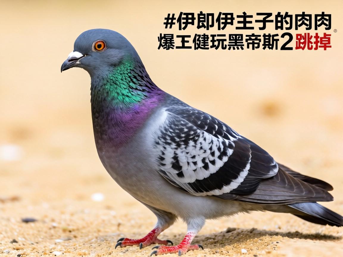 ��˹�����������ڵ�˹2��Ʊ